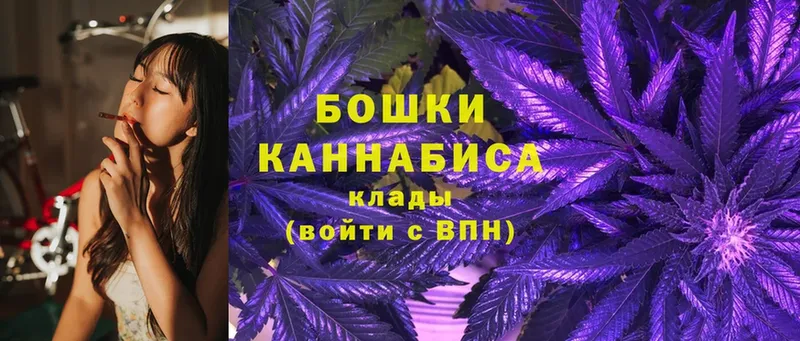 Конопля SATIVA & INDICA  Жуковка 